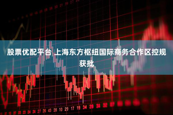 股票优配平台 上海东方枢纽国际商务合作区控规获批