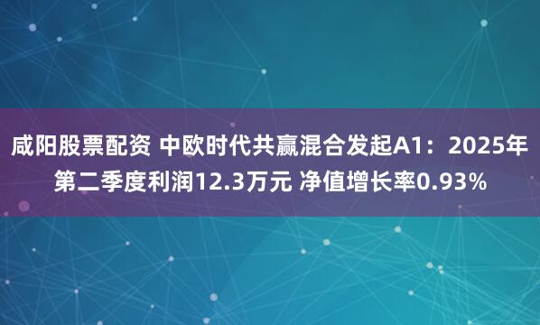 咸阳股票配资 中欧时代共赢混合发起A1：2025年第二季度利润12.3万元 净值增长率0.93%