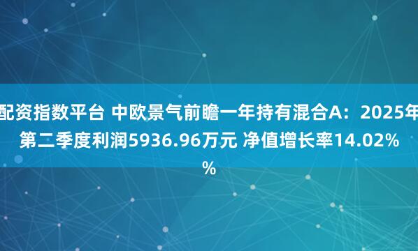 配资指数平台 中欧景气前瞻一年持有混合A：2025年第二季度利润5936.96万元 净值增长率14.02%